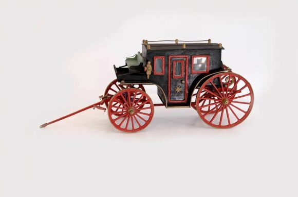 Art Installation “Strange Life”